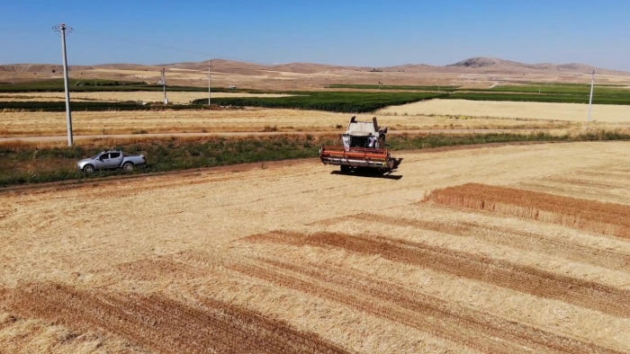 12 yıllık mühendislik kariyerini bırakıp çiftçi oldu