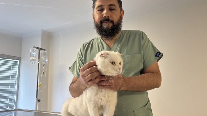 Veterinerden evcil hayvan sahiplerine kritik uyarı: Masum görünen eşyalar ölümcül olabilir