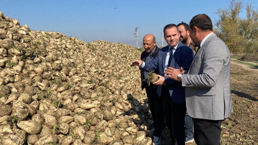 Eskişehir'de Şeker Pancarı Hasadı Başladı: Kaymakam Sönmezel Çiftçilerle Buluştu