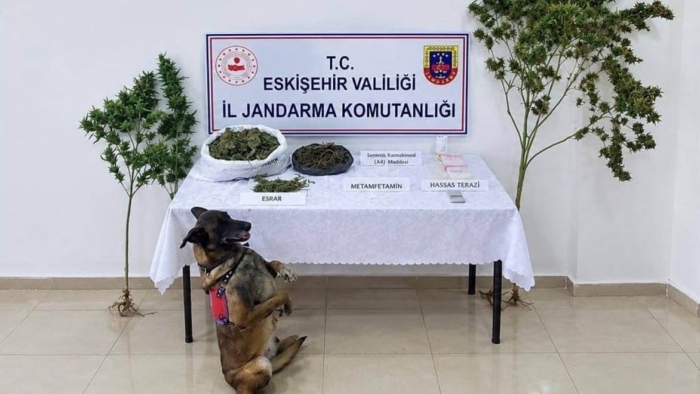Eskişehir'de uyuşturucu operasyonu: 1 şüpheli tutuklandı