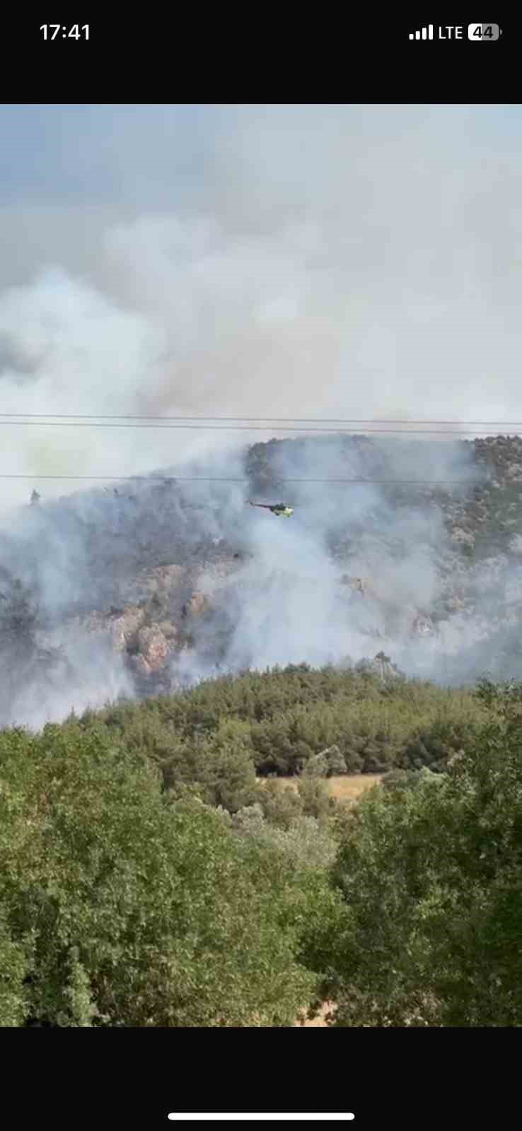 Bilecik'te bir başka orman yangını daha çıktı