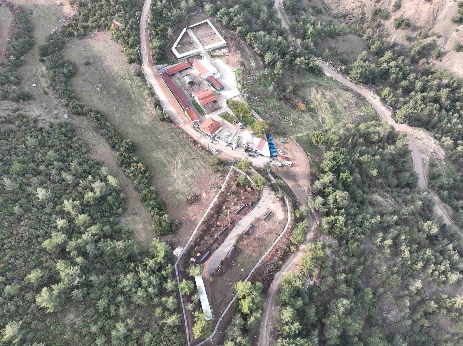 Bilecikte can dostlar emin ellerde