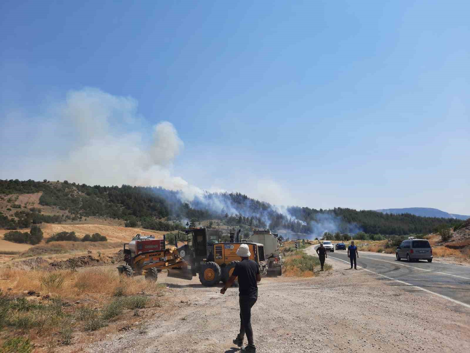 Bilecik'te yeni orman yangını