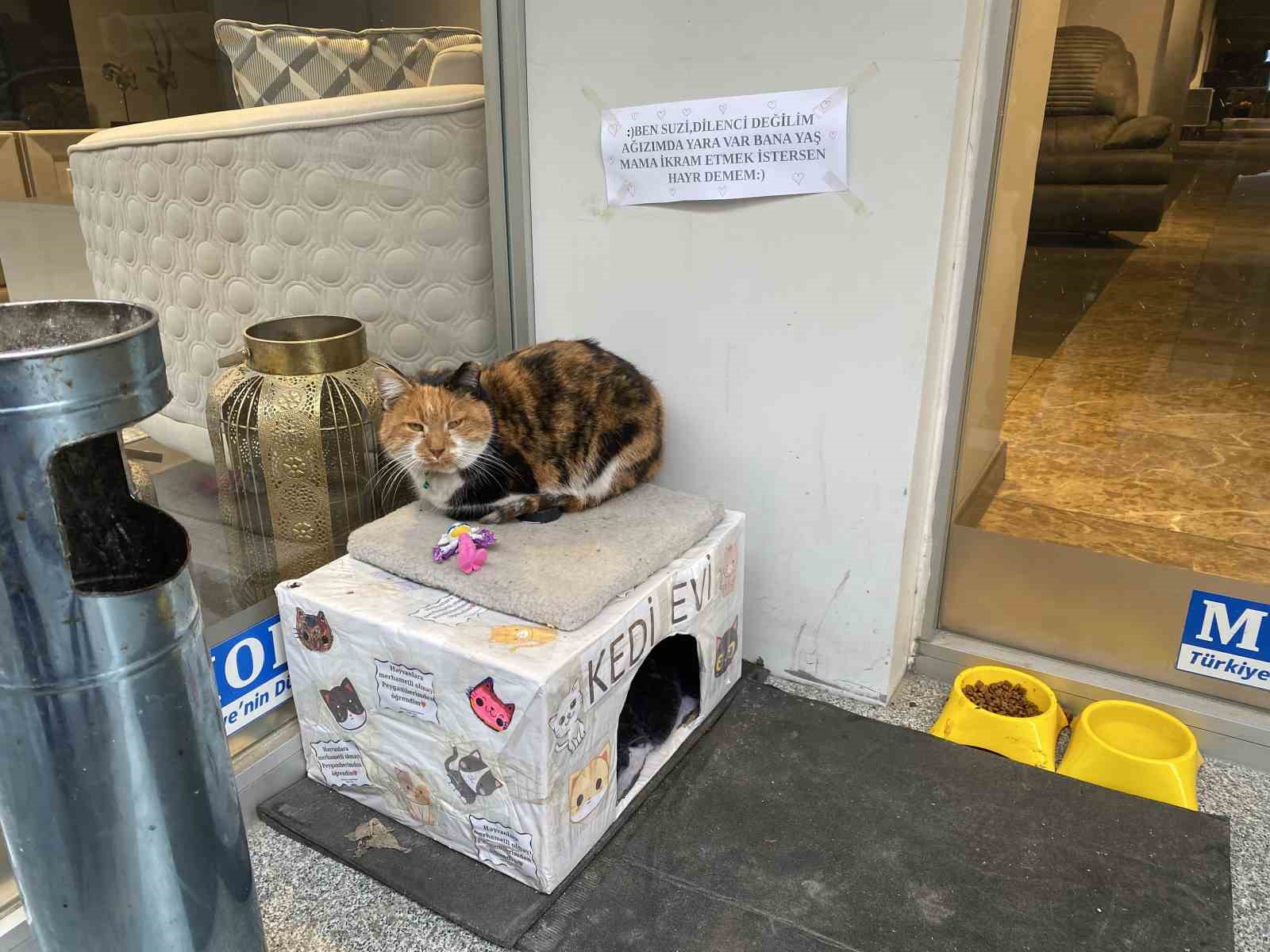 Dükkan önündeki kedi için asılan ilginç not dikkat çekti: Dilenci değilim