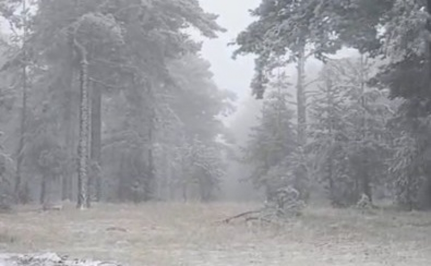 Eskişehir'e mevsimin ilk karı yağdı
