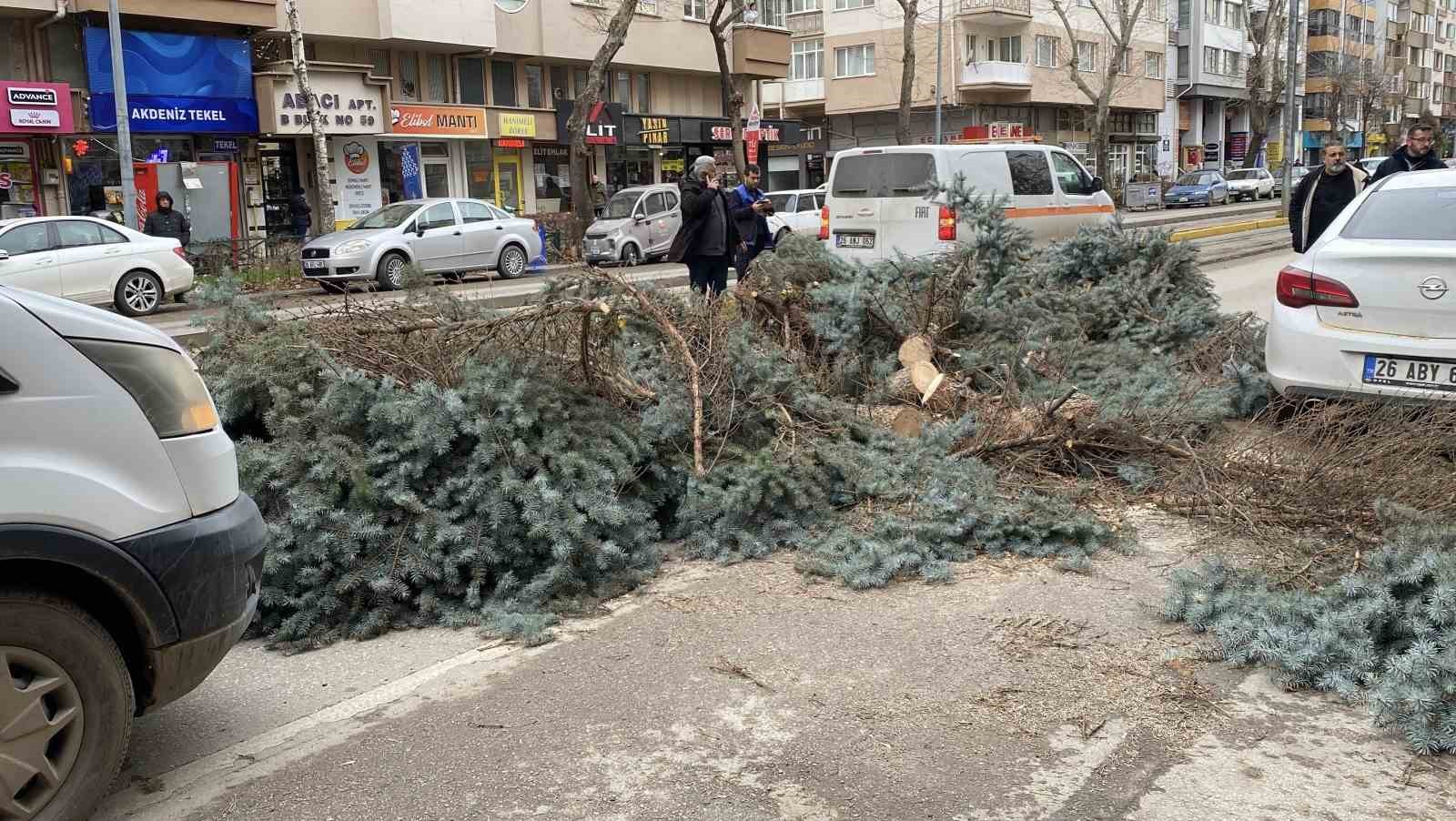Eskişehirde fırtına sebebiyle ağaçlar devrildi
