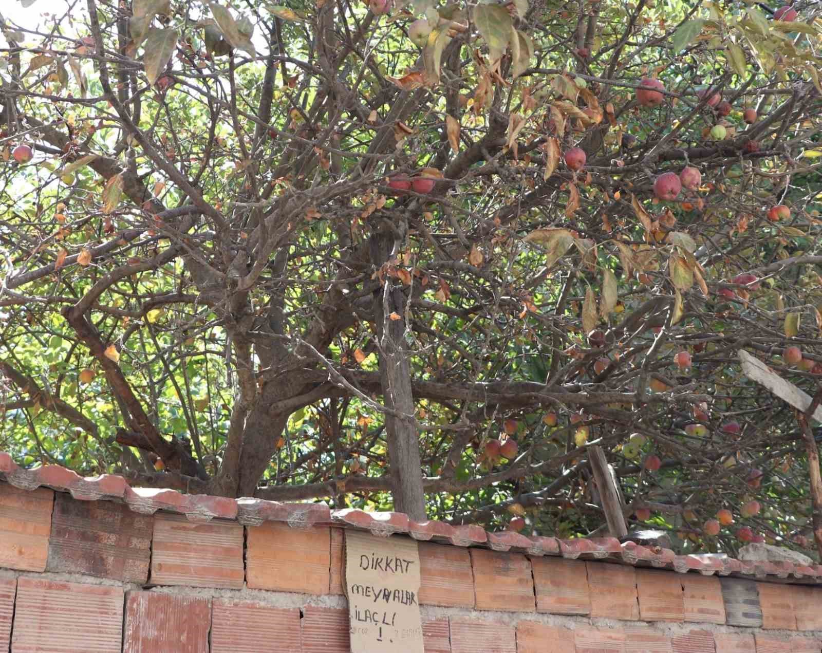 Eskişehirde şaşırtan uyarı