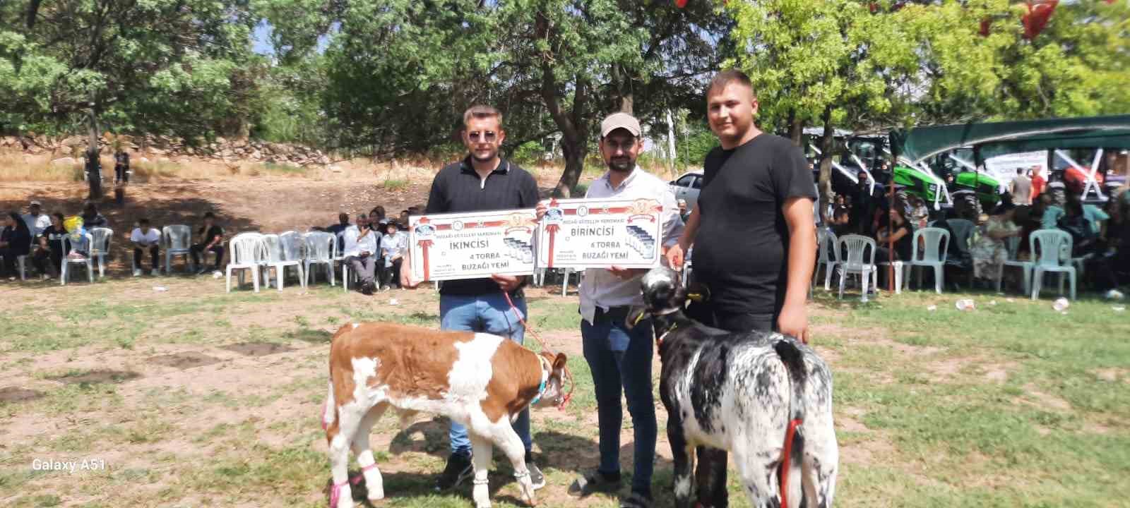 Festivalde en güzel kuzu ve buzağı seçildi