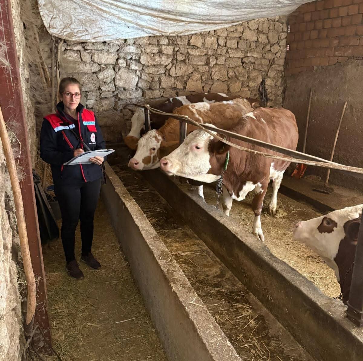 Hibe desteğiyle hayvancılık yapan besicilere yönelik denetim