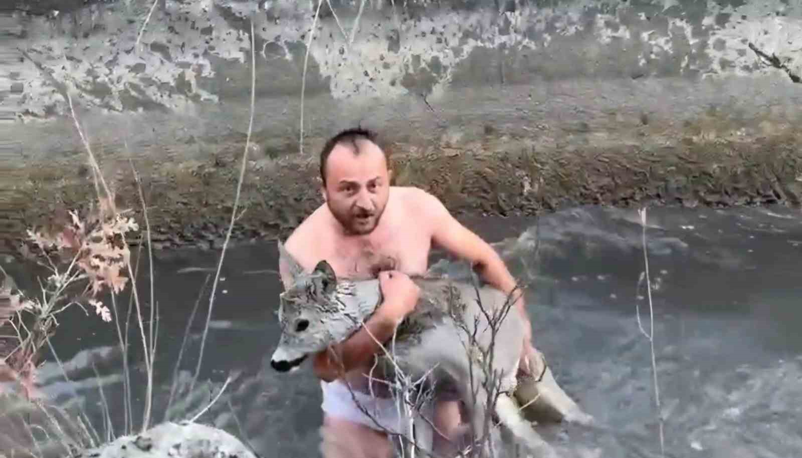 Kütahyada su kanalına düşen karaca kurtarıldı