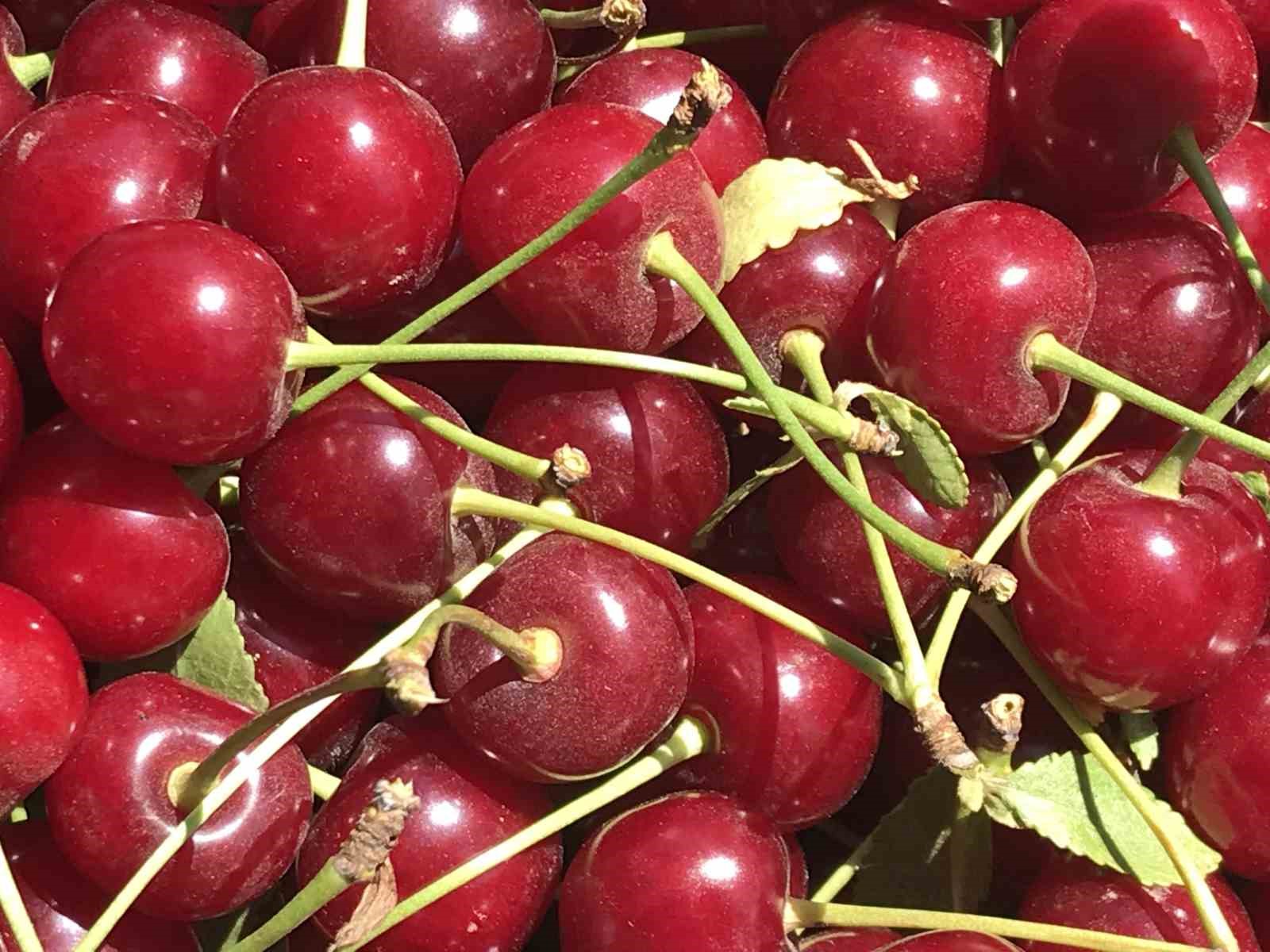 Meyve suyu ve reçel fabrikaları fiyatı düşürdü