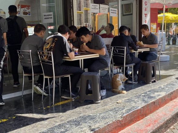 Okullar açıldı, tavuk dönercilerin yüzü güldü!