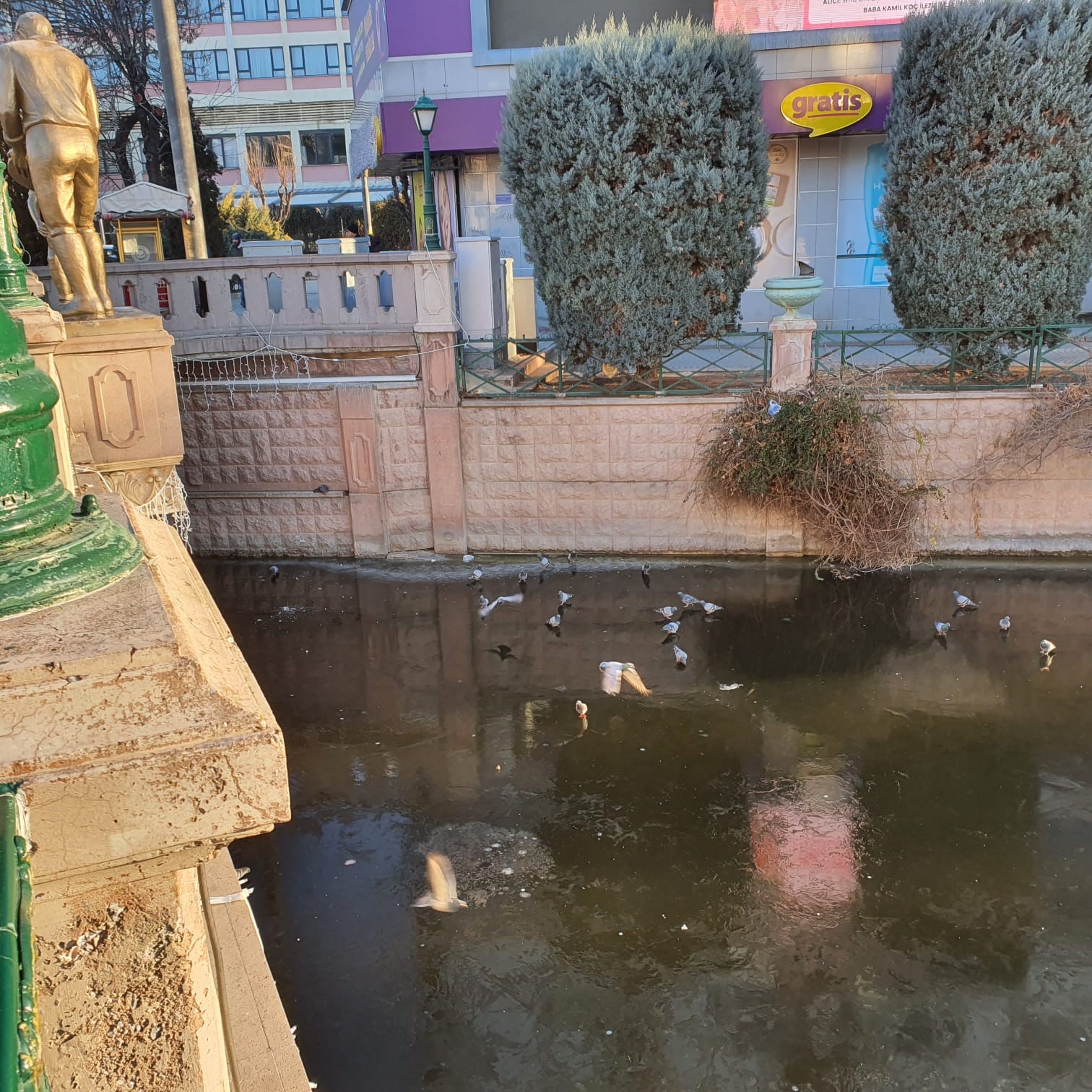 Porsuk'un donduğunun resmidir