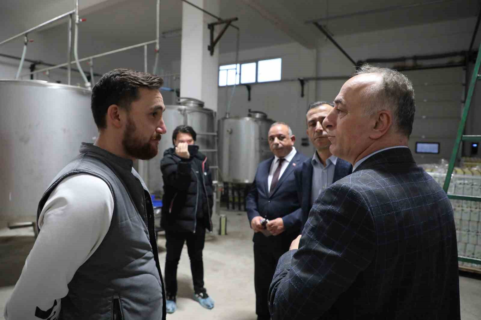 Sarıcakaya'da zeytin ve zeytinyağı üretimi hızla artıyor