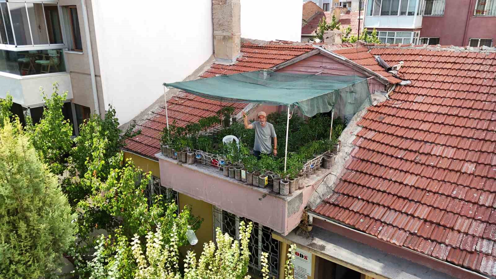 18 metrekarelik terasını 200 fideyle bahçeye çevirdi, 8 saatini burada harcıyor