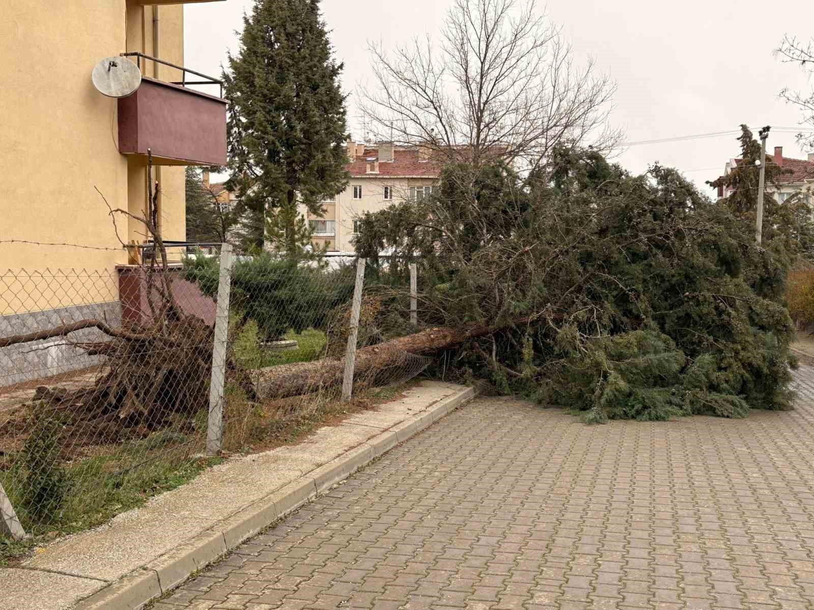 75. Yıl Mahallesi fırtınadan olumsuz etkilendi