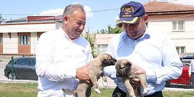 AK Parti İl Başkanından Büyükşehir'e hayvan dostlar için güzel öneri