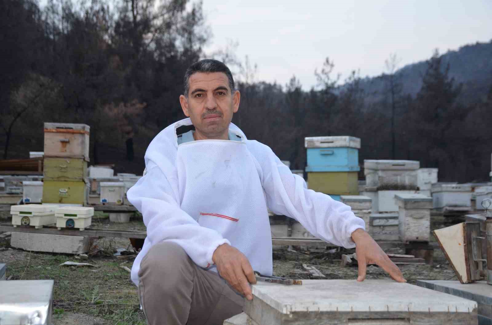 Bir kovanla hobi olarak başladı, şimdi her yere koloni gönderiyor