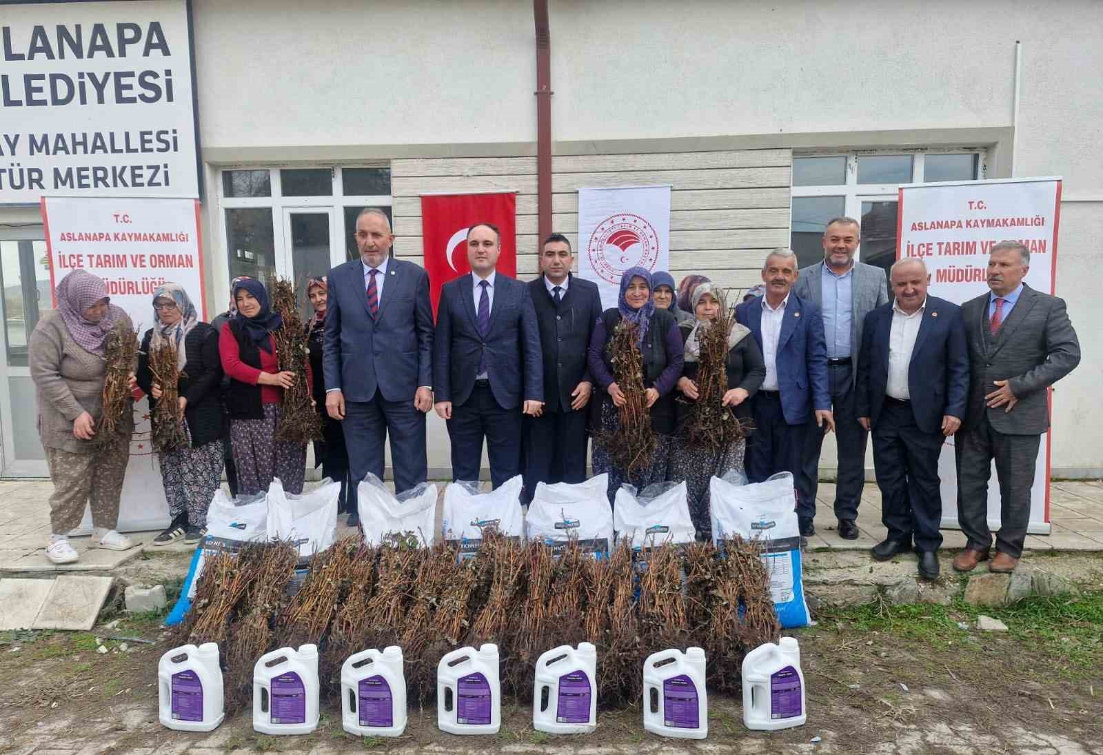 Aslanapada 13 kadın çiftçiye yüzde 75 hibeli 7 bin adet ahududu fidanı dağıtıldı