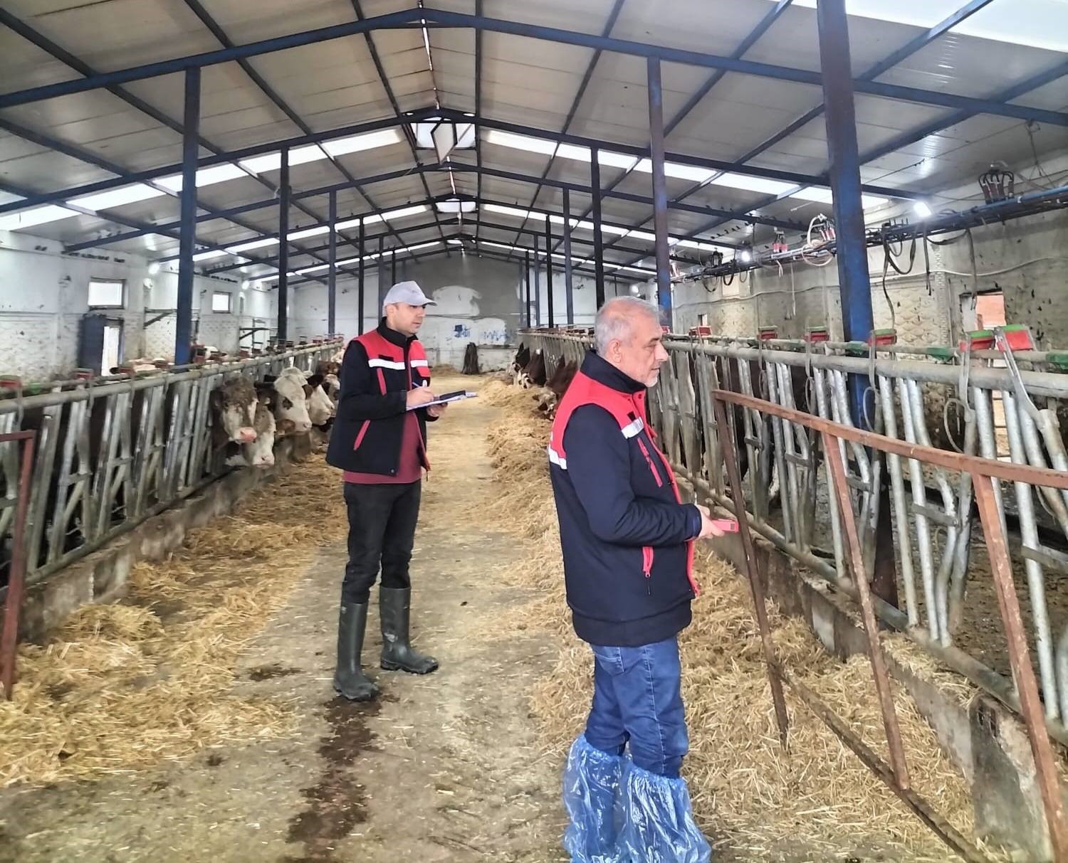 Besicilik işletmelerine yönelik ‘kapasite ölçümleri devam ediyor