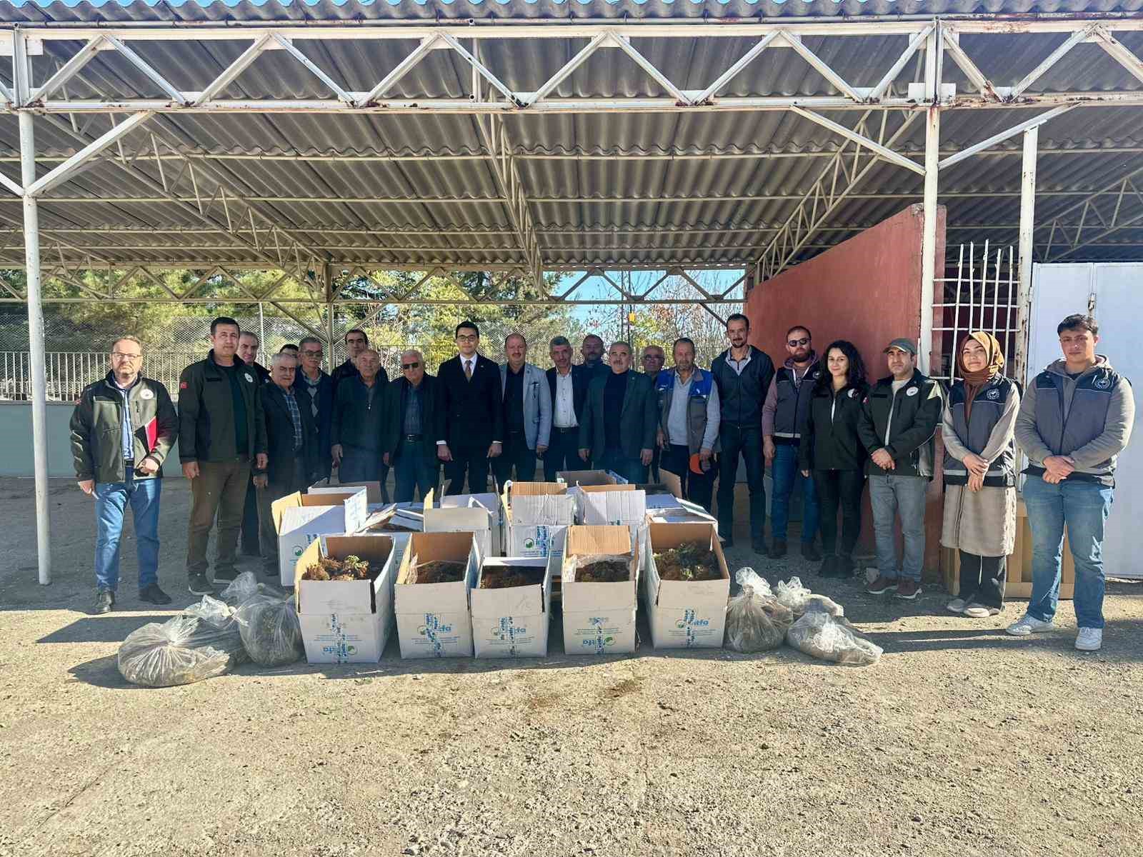 Bilecikte 42 bin adet çilek fidesi dağıtıldı