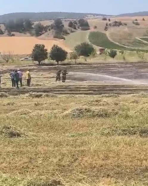 Bilecikte anız yangını söndürüldü