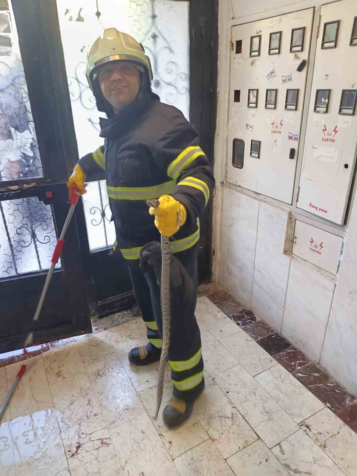 Bir apartmana giren yılan itfaiye ekiplerince yakalandı