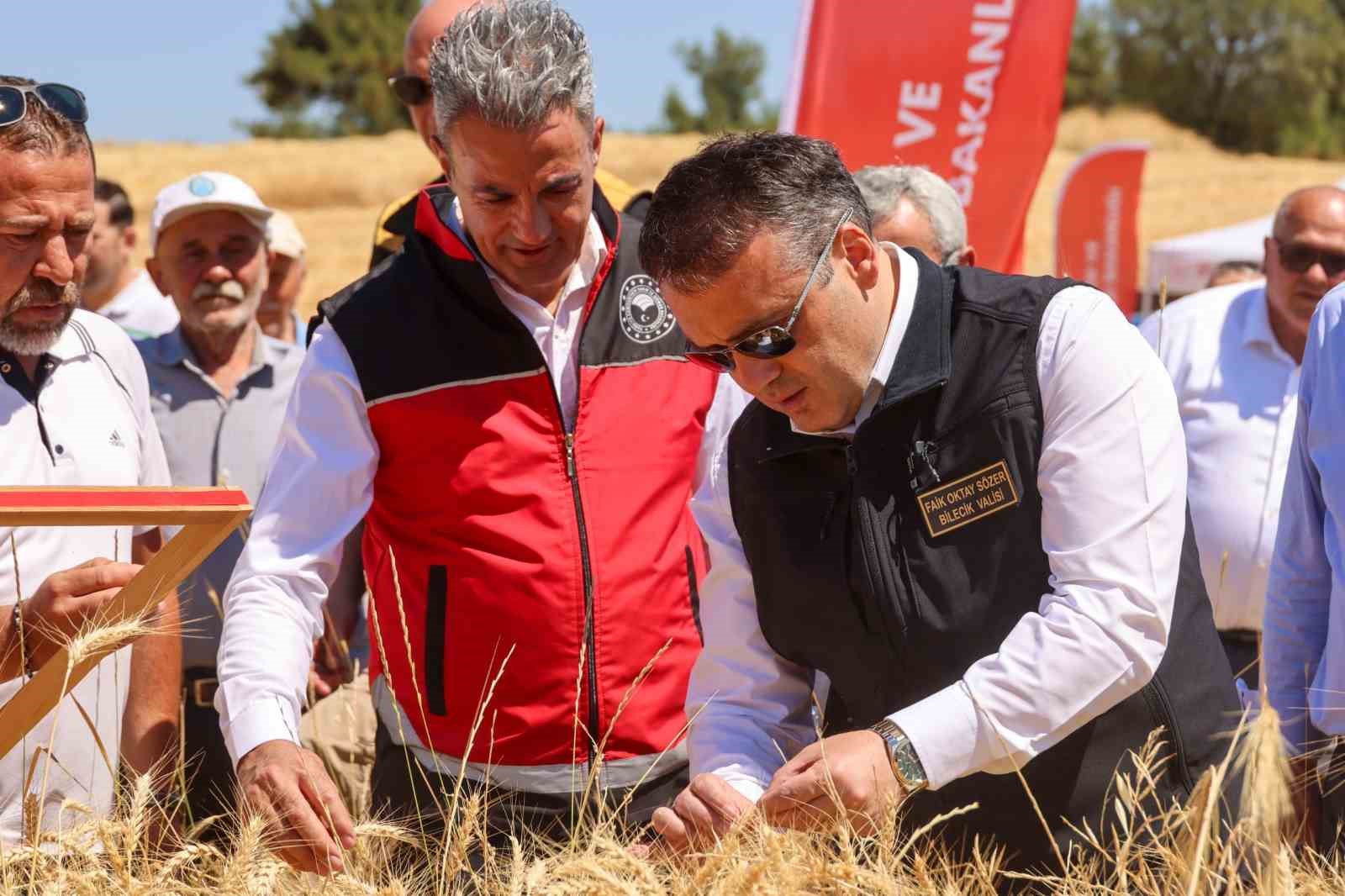 Bilecik'te bu yıl 75 bin 104 ton buğday hasadı yapılacak