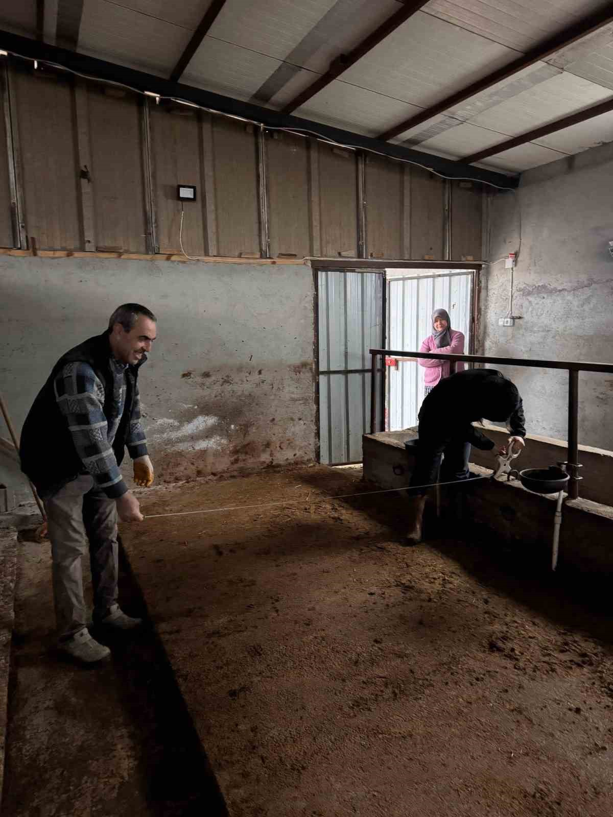 Büyükbaş hayvancılık işletmelerinde kapasite kontrolleri