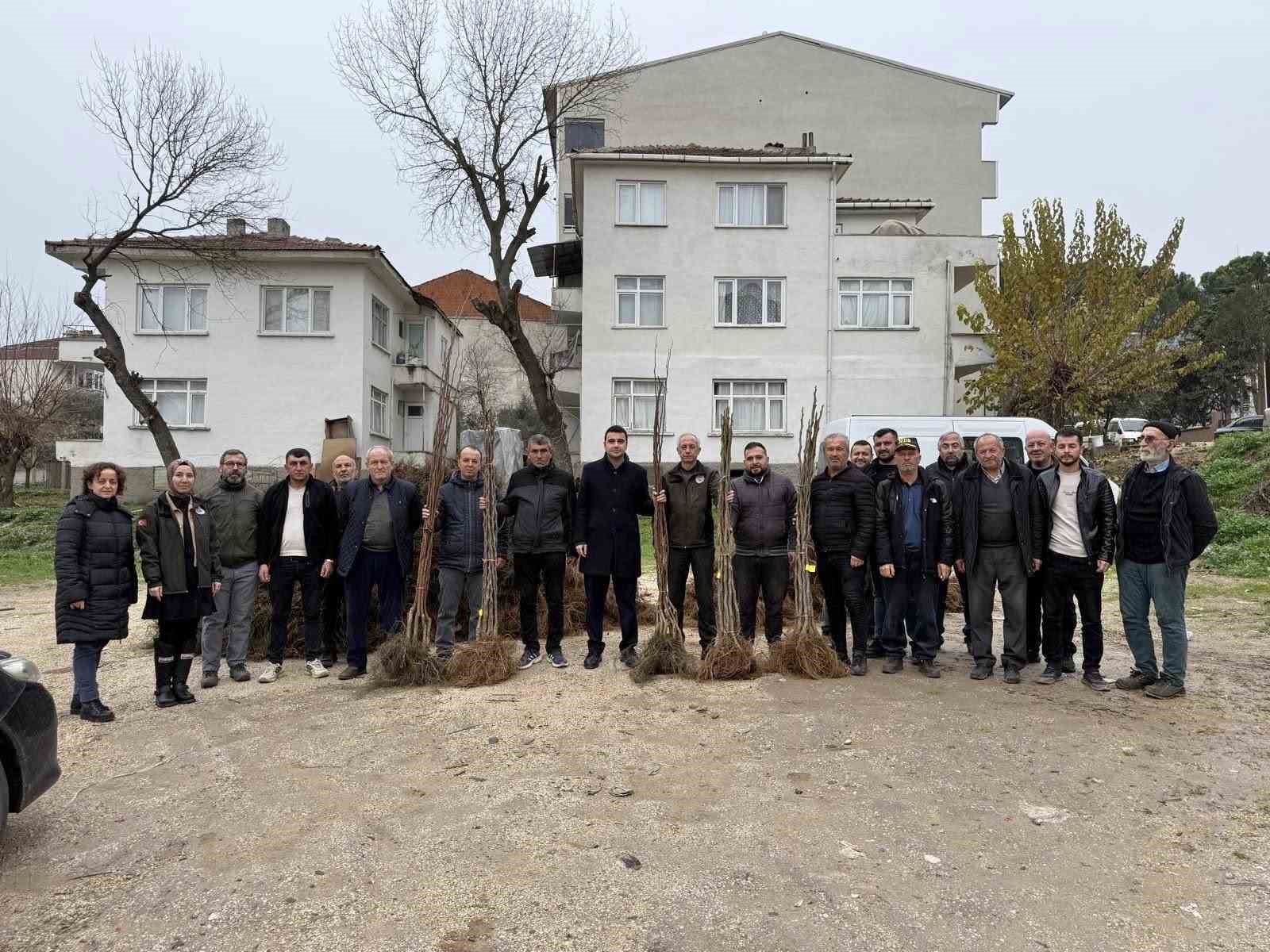 Bilecikte çiftçilere meyve fidanı desteği