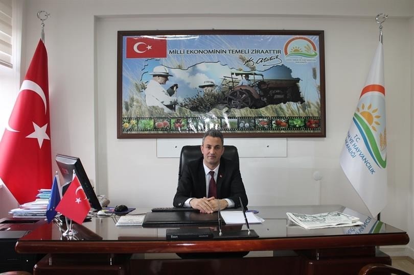 Bilecik'te çitçilerin kahverengi kokarca paniği