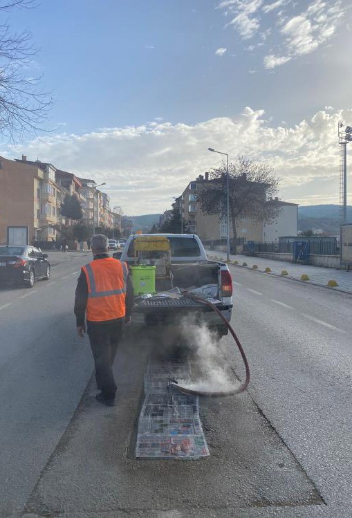 Bilecikte haşerelere karşı kışlık mücadele