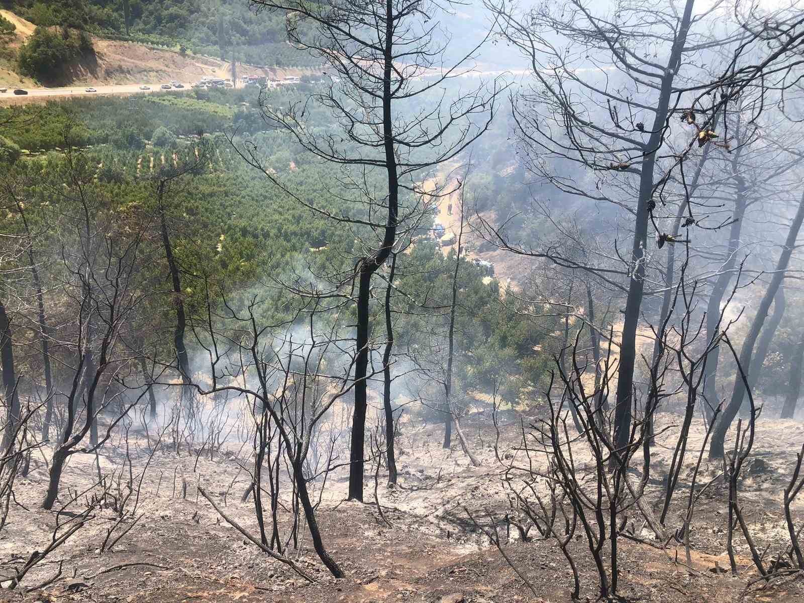 Bilecikte orman yangını ekipler tarafından söndürüldü