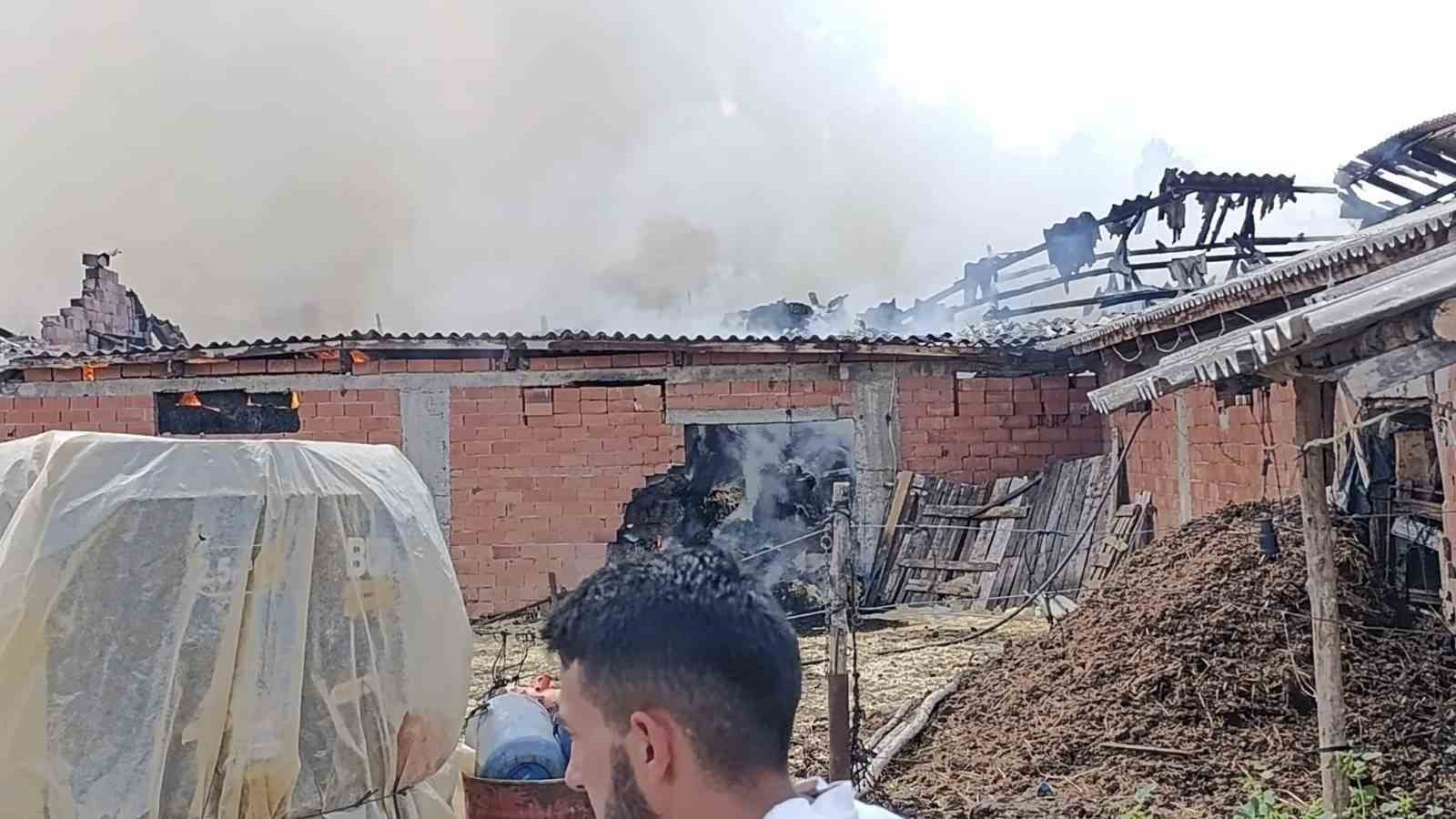Bilecikte samanlık alanda yangın çıktı