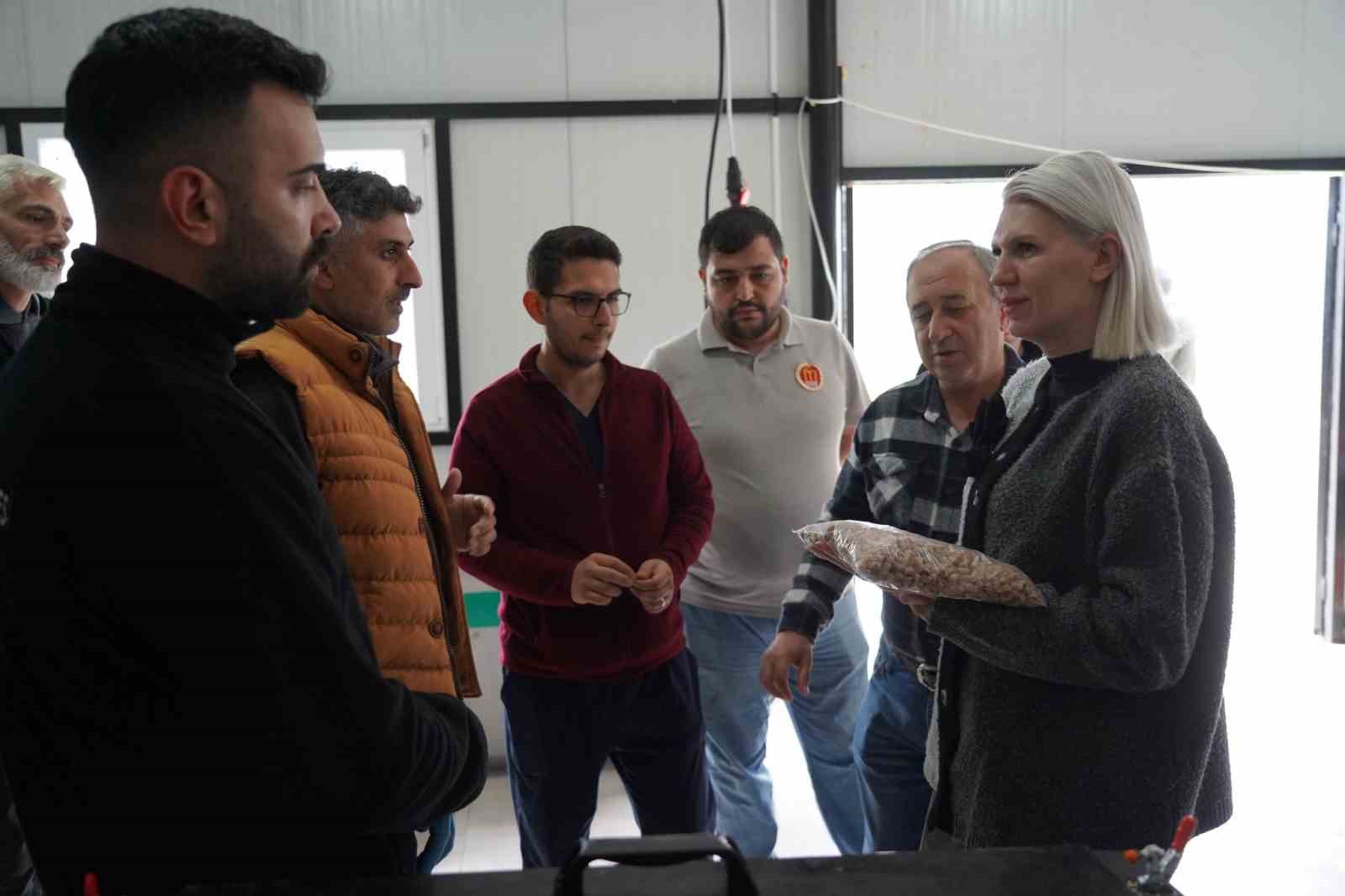 Bilecik'te sokak hayvanları için ücretsiz mama üretiliyor