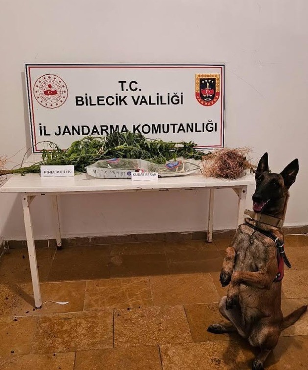 Bilecikte uyuşturucu operasyonu