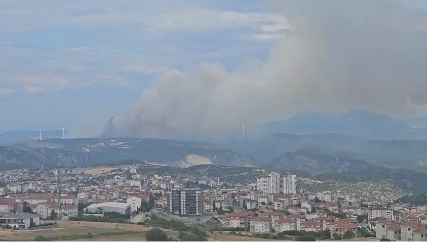 Bilecikteki orman yangınına müdahale sürüyor: Dumanlar kent merkezine kadar geldi
