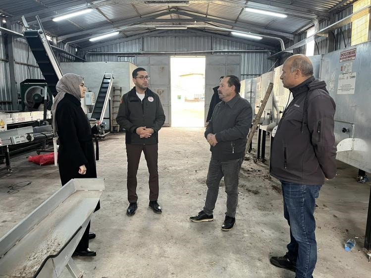 Ceviziyle öne çıkan Gölpazarında üretim zinciri güçleniyor