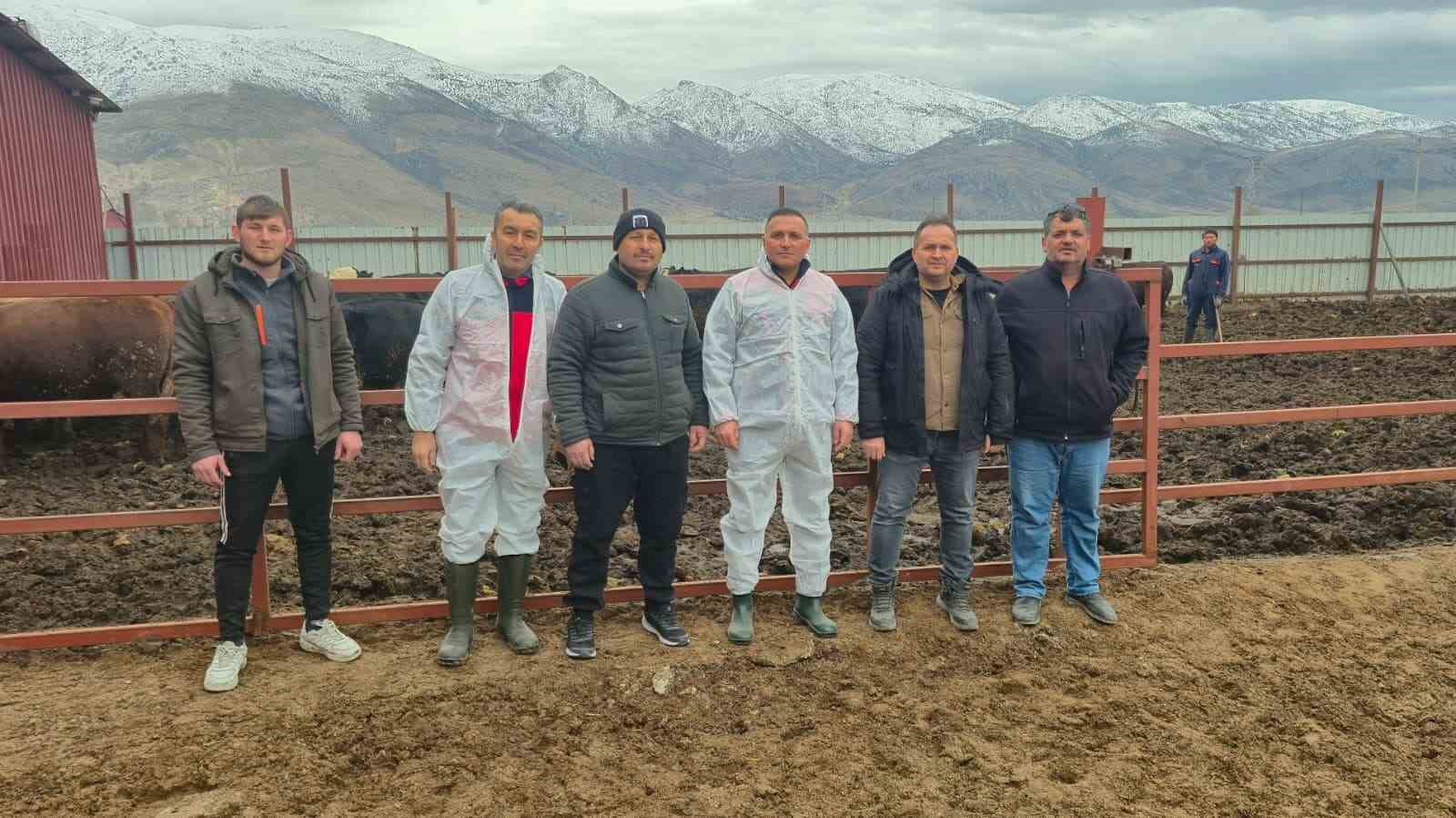 Dinarda ithal hayvan besiciliği yapılan işletmelere yönelik denetim