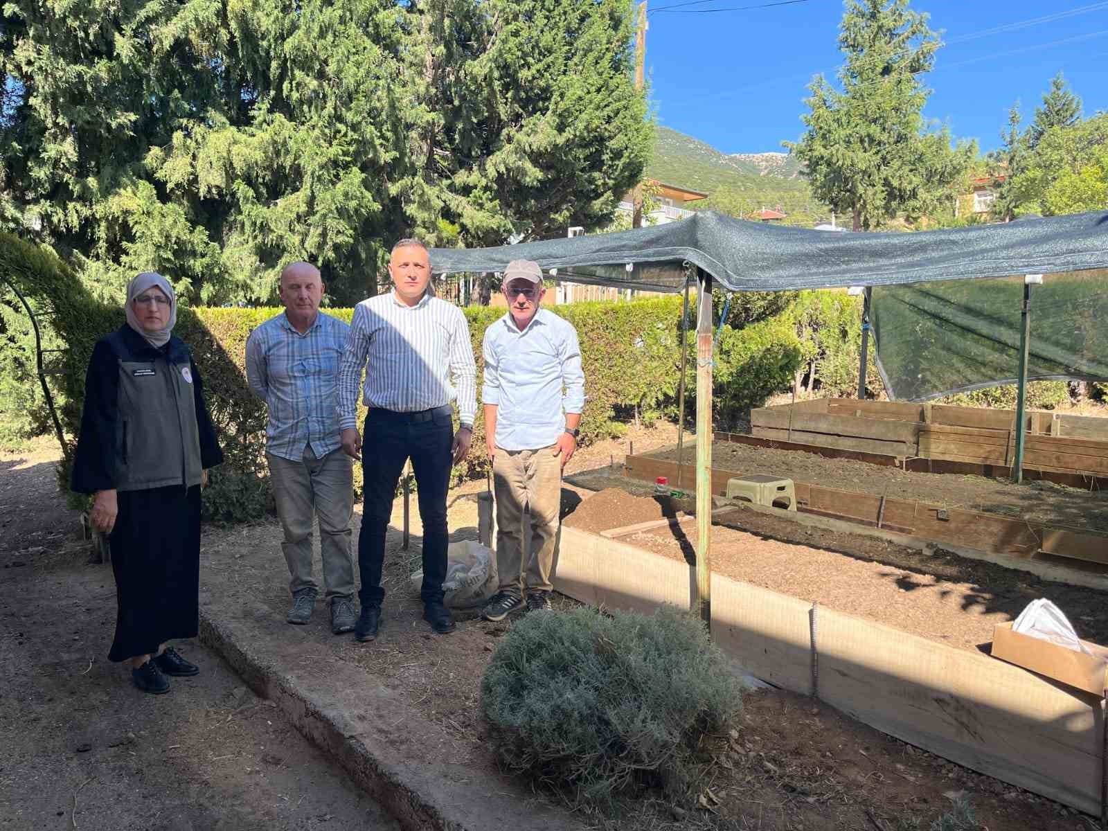 Dinarda sezonun ilk salep ekimi yapıldı