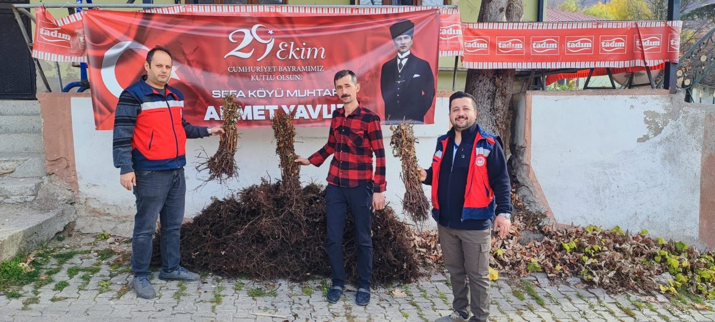 Domaniçte çiftçilere yüzde 75 hibeli 3 bin adet ahududu fidanı dağıtıldı