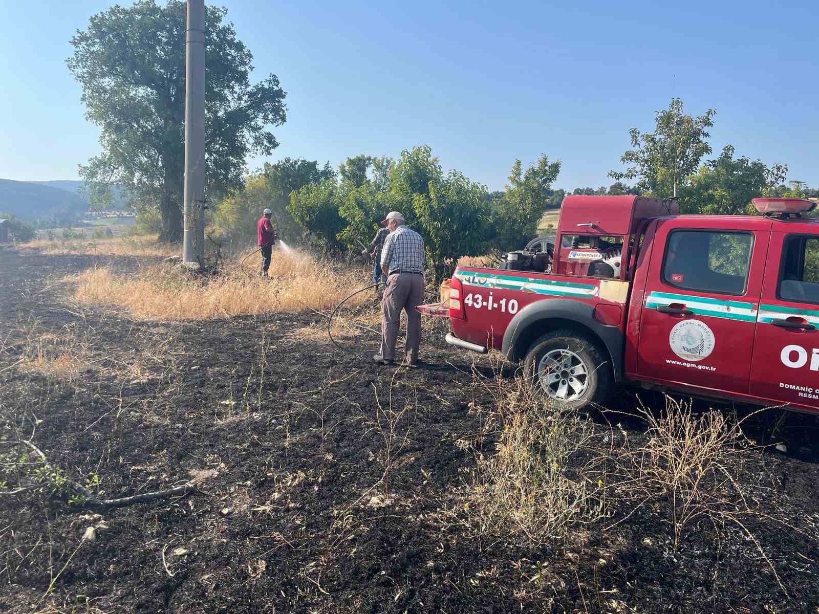 Elektrik akımına kapılan kuş yangına neden oldu