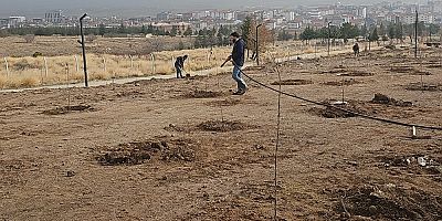 Emirdağ’da Büyük Meyve Bahçesi Projesi hayata geçiyor