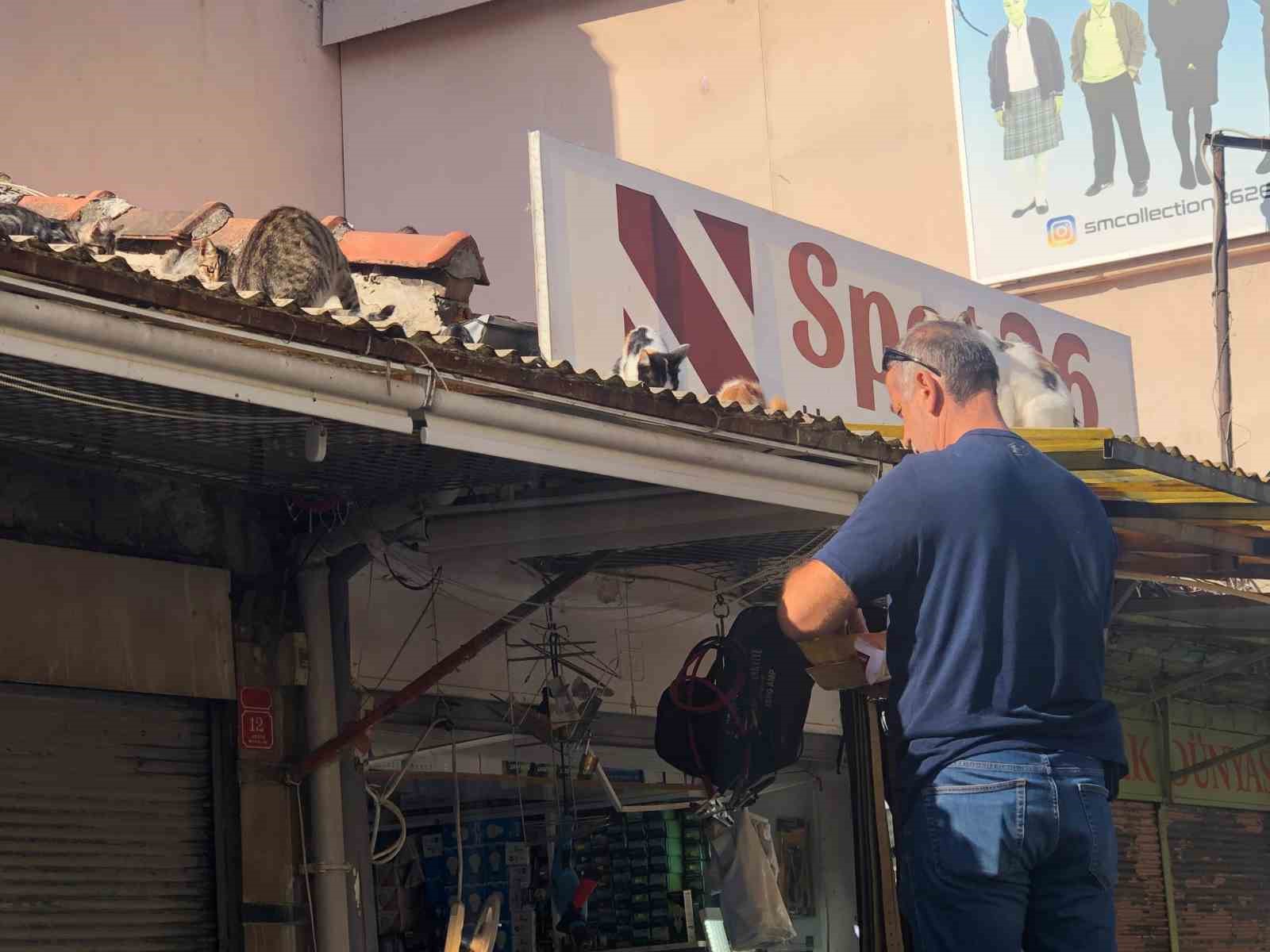 Eskişehirde esnaf hergün çatıya tırmanıp kedileri besliyor