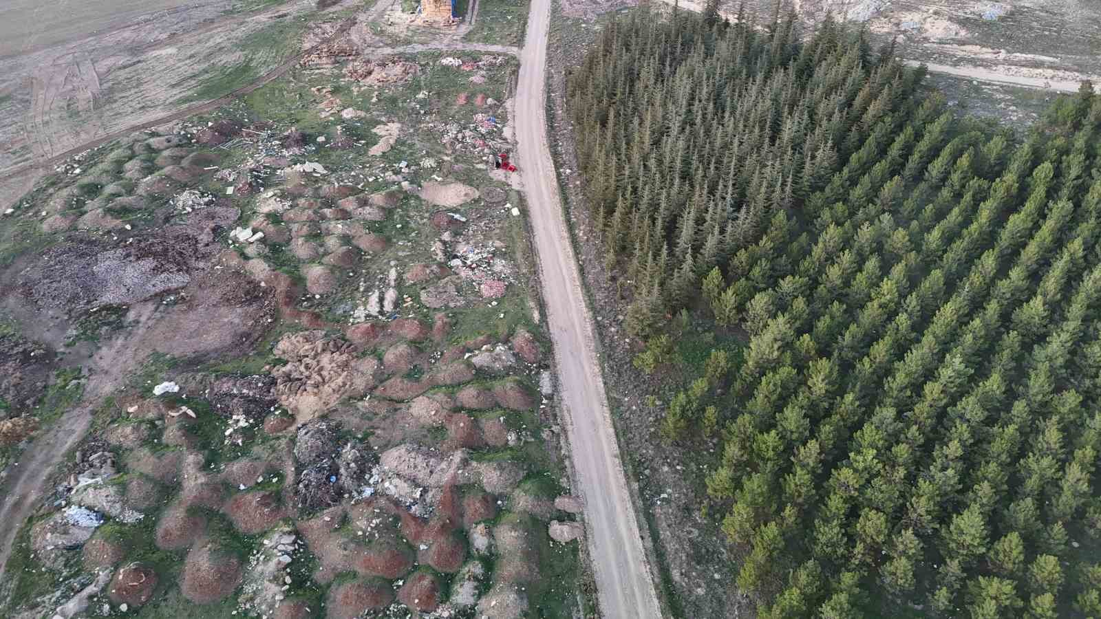 Eskişehir'de tezat görüntü: Bir yanda yeşil ağaçlar, bir yanda çöp yığınları