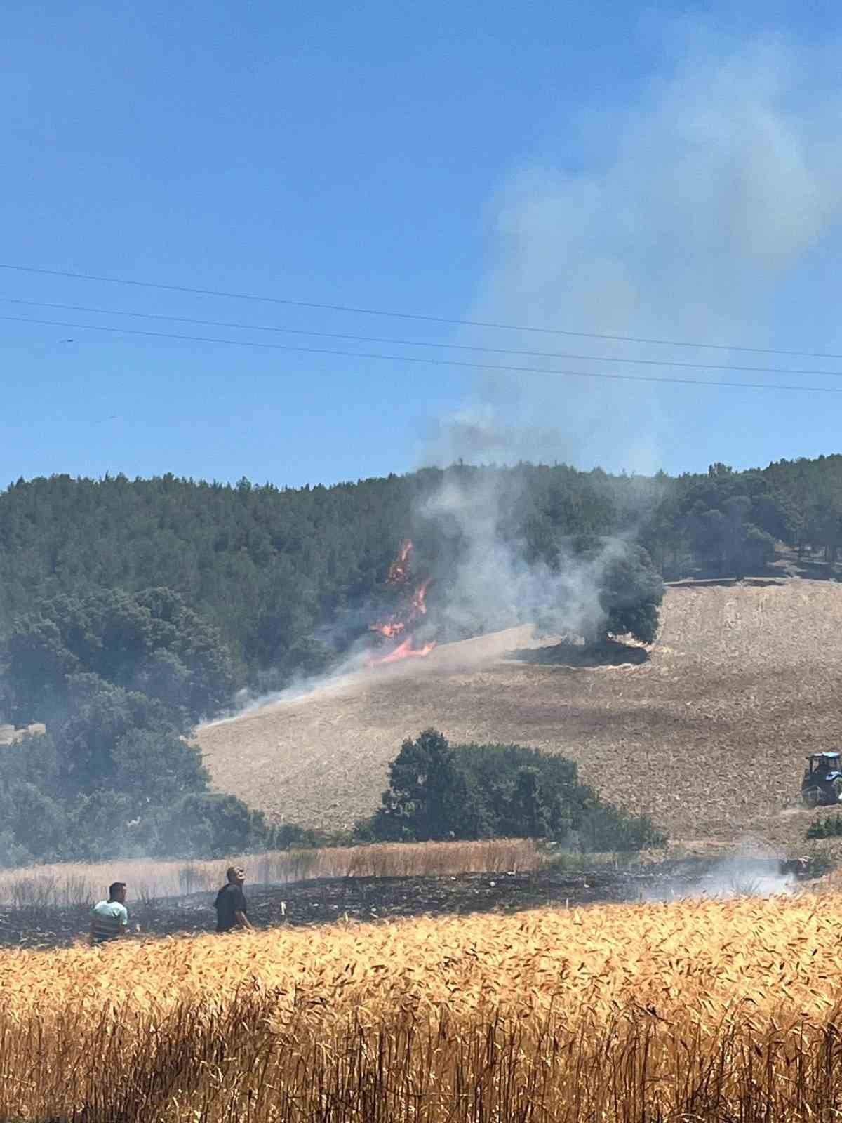 Gedizde ekiplerin orman yangınıyla mücadelesi sürüyor