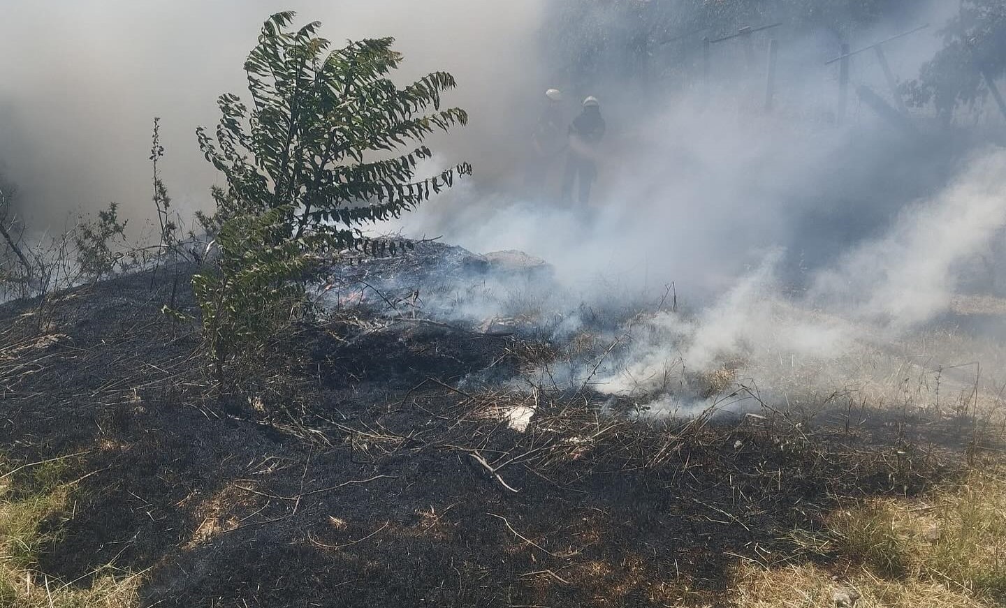 Gediz'de trafo yakınında ot yangını paniğe sebep oldu