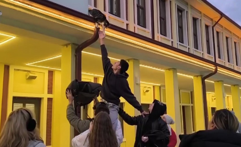 Gençlerin başarısız kedi kurtarma operasyonu kamerada