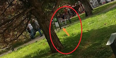 Gün ortasında çocuk parkının yanında alkol alıyorlar!