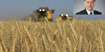 Hatipoğlu: Destekler hesaplara yatırılmaya başlandı